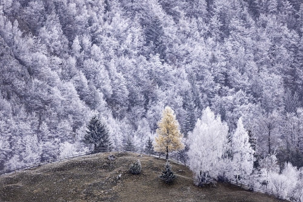 Photograph by Adrian Grigore