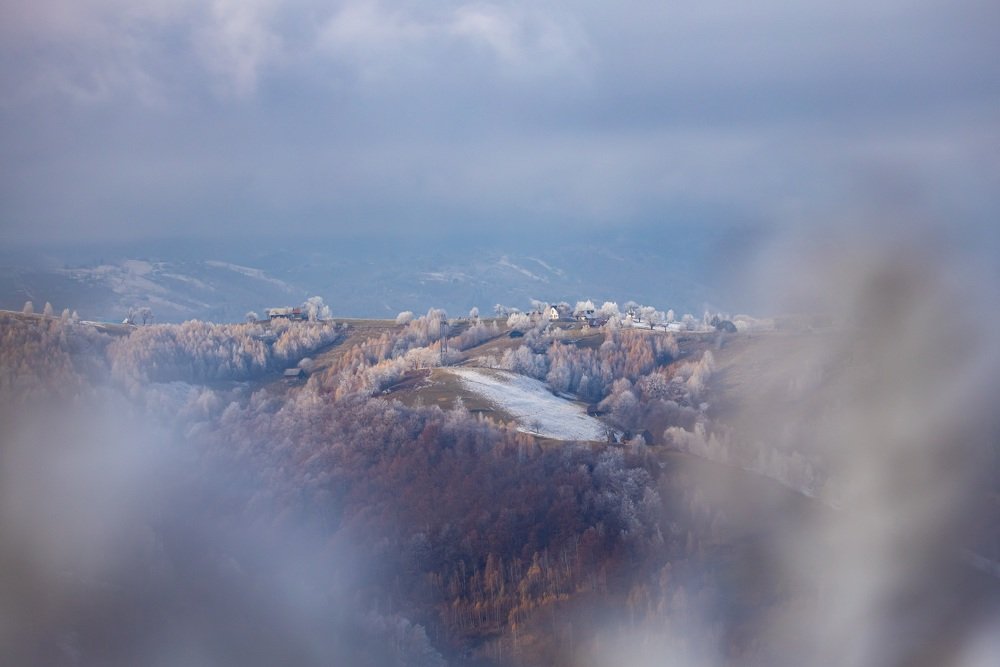 Photograph by Adrian Grigore