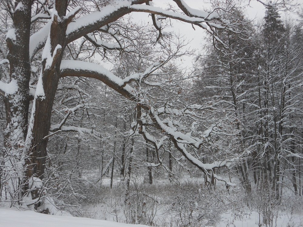 Photo #5504789