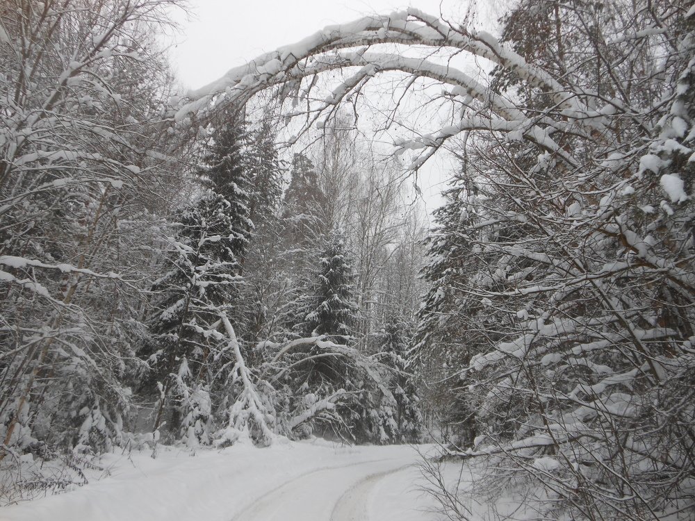 Photo #5504812