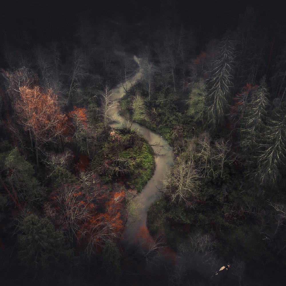 Photograph by Vladimir Golubev