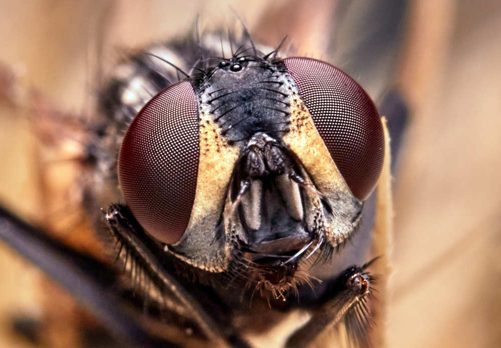 Photograph by Виктор Ноговицин