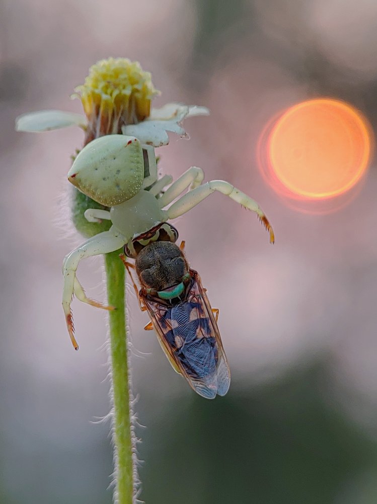 Photograph by Protik Chowdhury