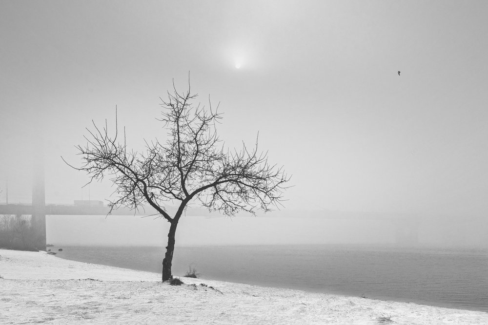 Photograph by Виталий Тимофеев