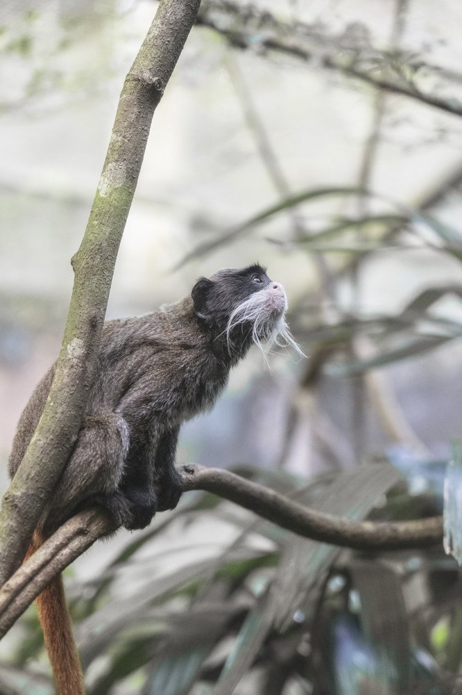 Photograph by Aloysius Goh