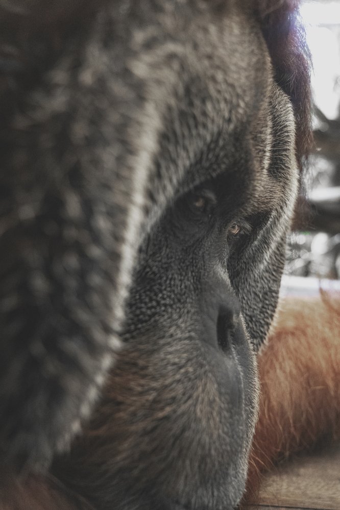 Photograph by Aloysius Goh