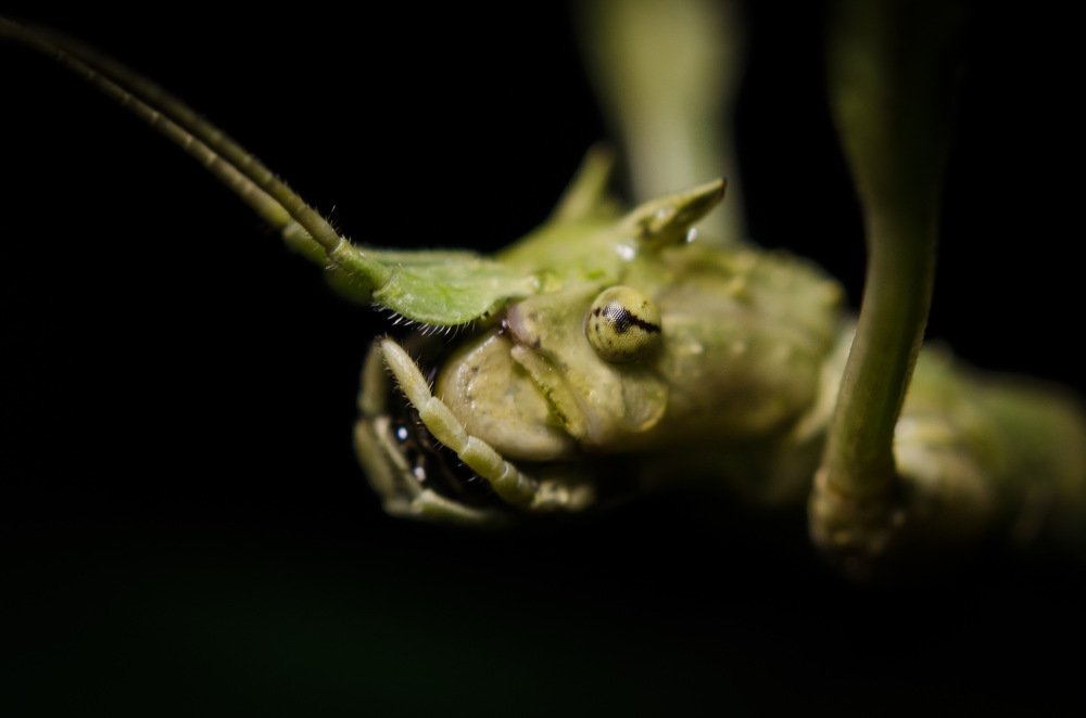 Photograph by Денис Белов