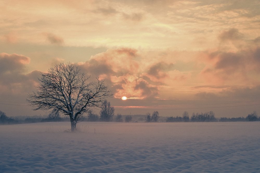 Photograph by Agnieszka Szadowiak