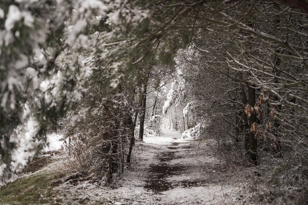 Photograph by Agnieszka Szadowiak