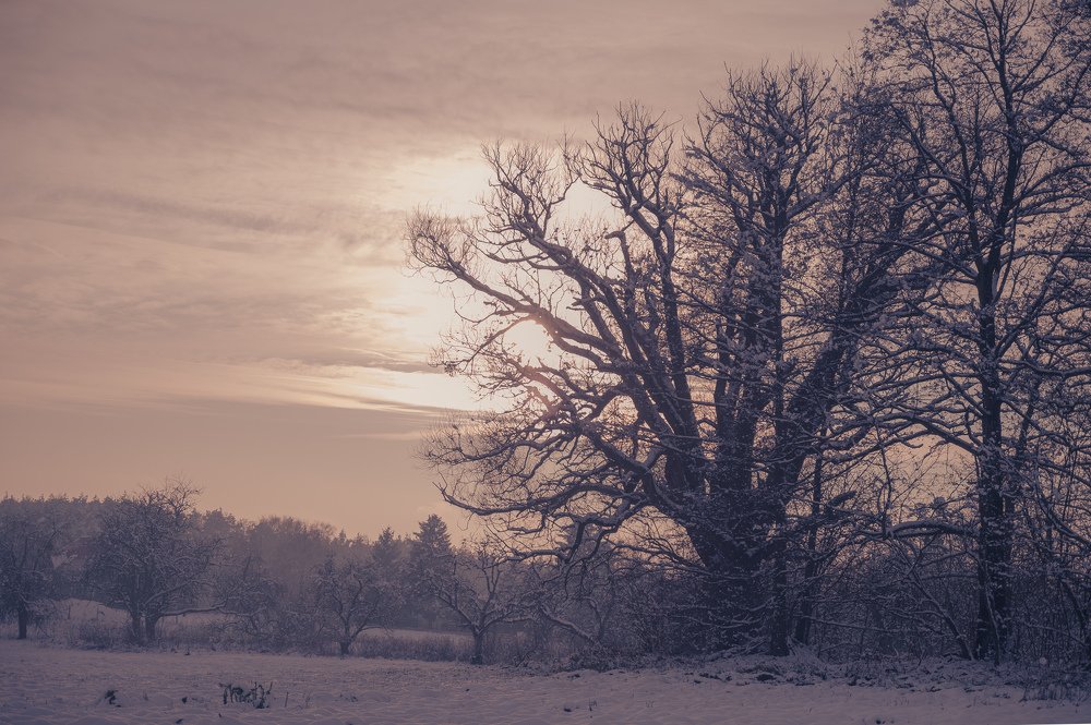 Photograph by Agnieszka Szadowiak