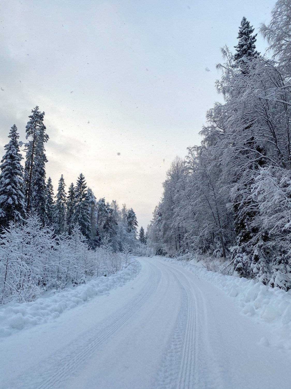 Photo #5505025