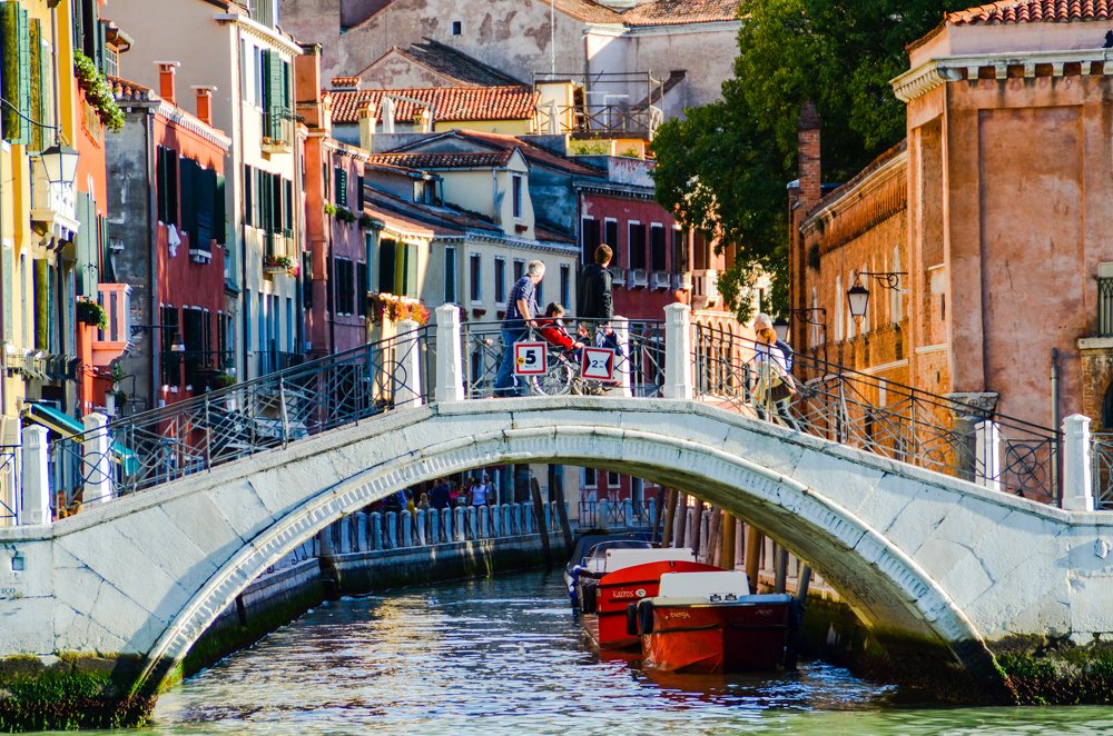 Фотография автора OLEG MOZHEVIN