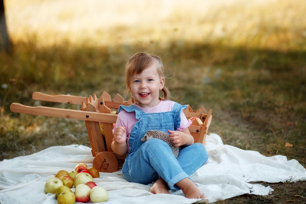 Photograph by анастасия плаксеева