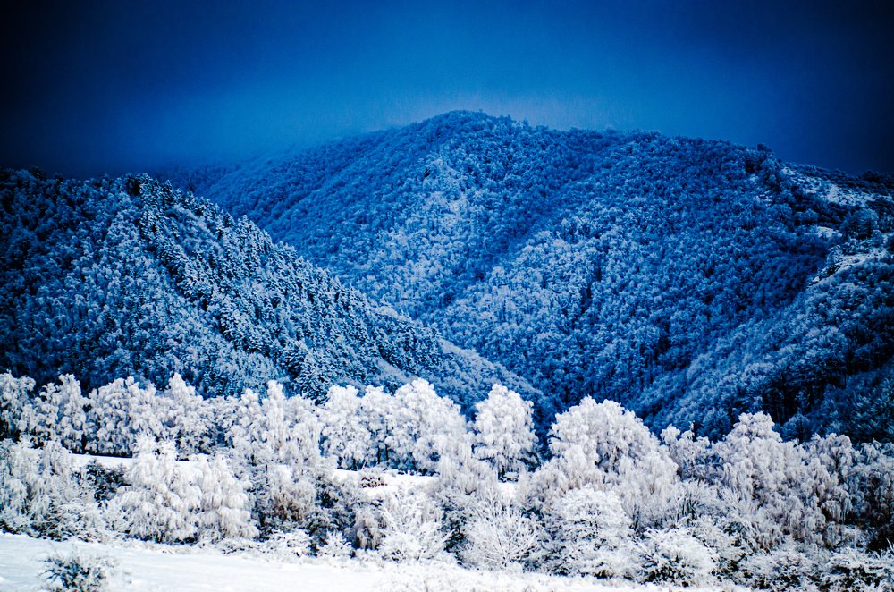 Photograph by Radu Constantinescu