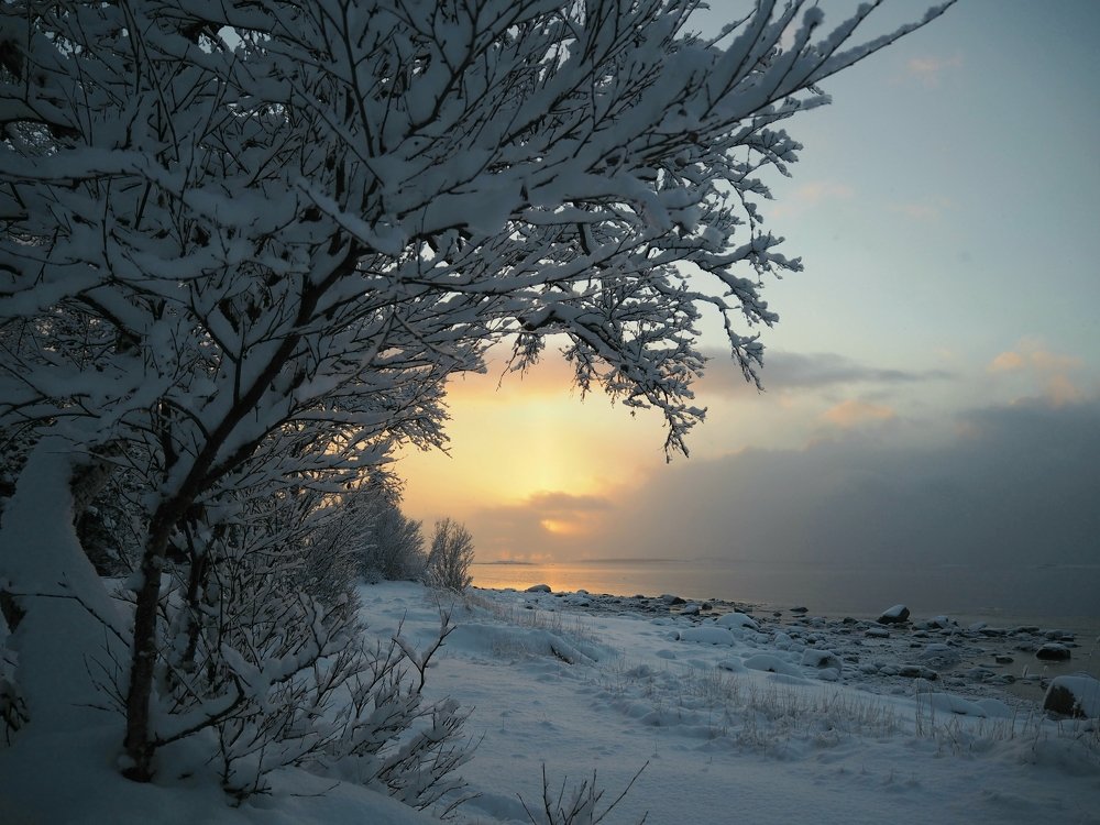 Photograph by Евгений Яковлев