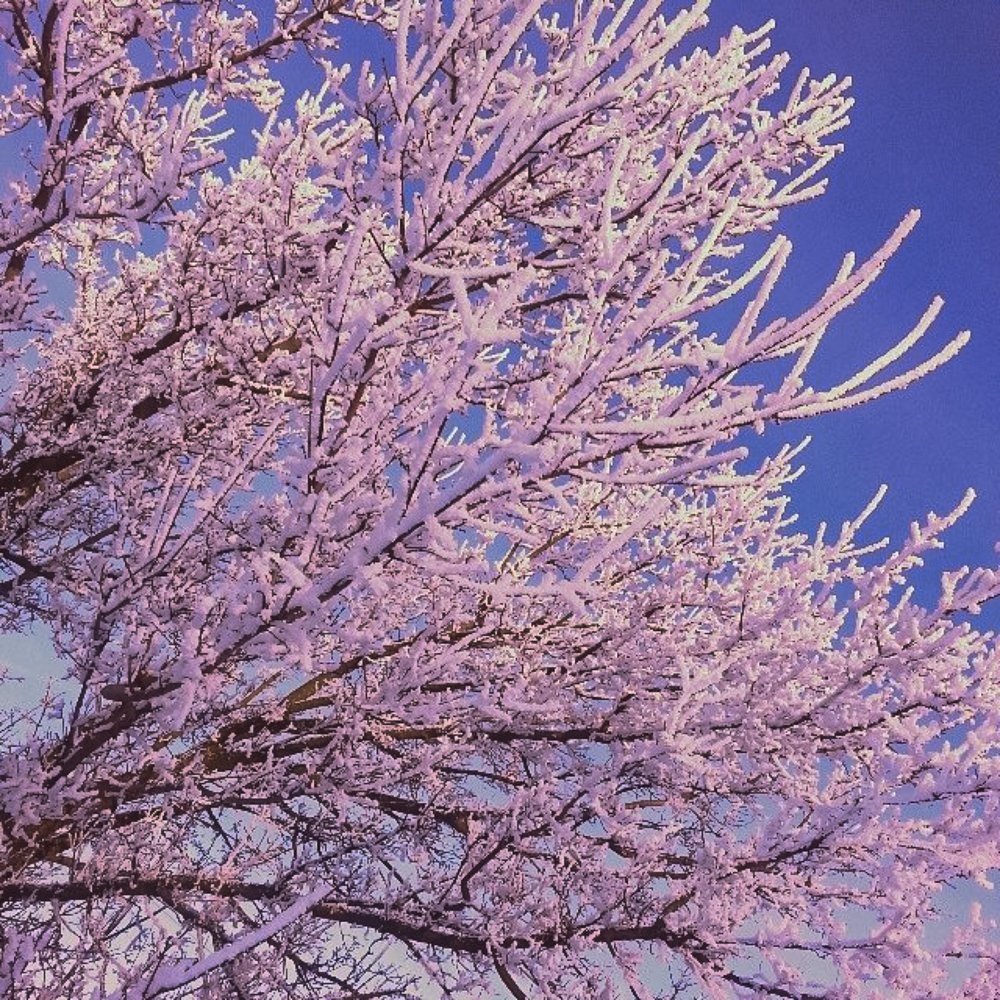 Photograph by Анжелика Короткова