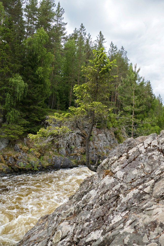 Photograph by Константин Лагоденко