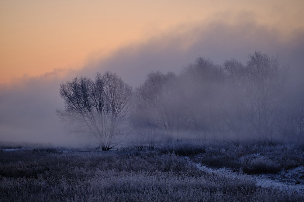 Photograph by Василий Арлашов