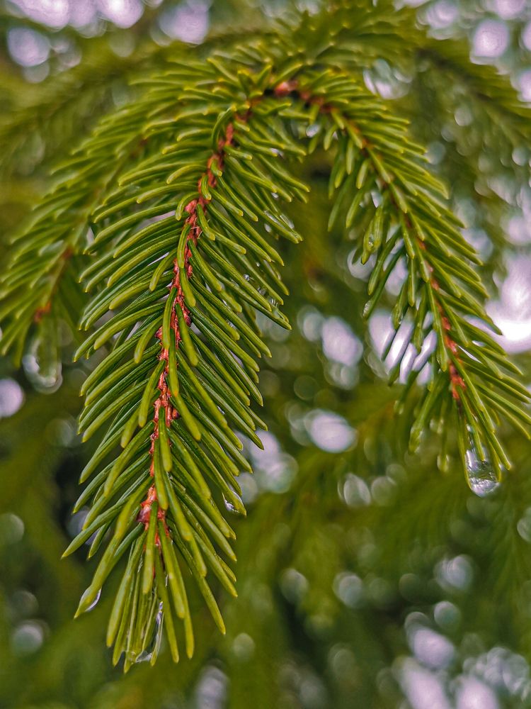 Photograph by Сергей Таранов