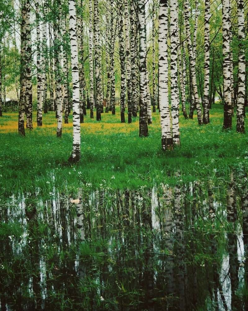 Photograph by Анна Каменева