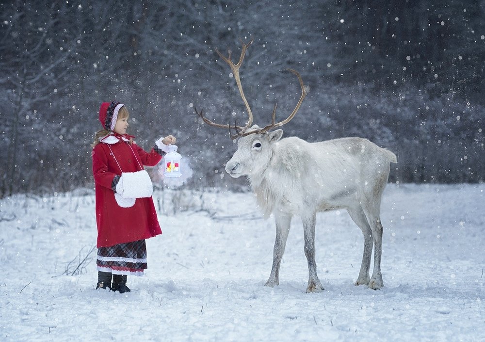 Photograph by Гимельфарб Кирилл