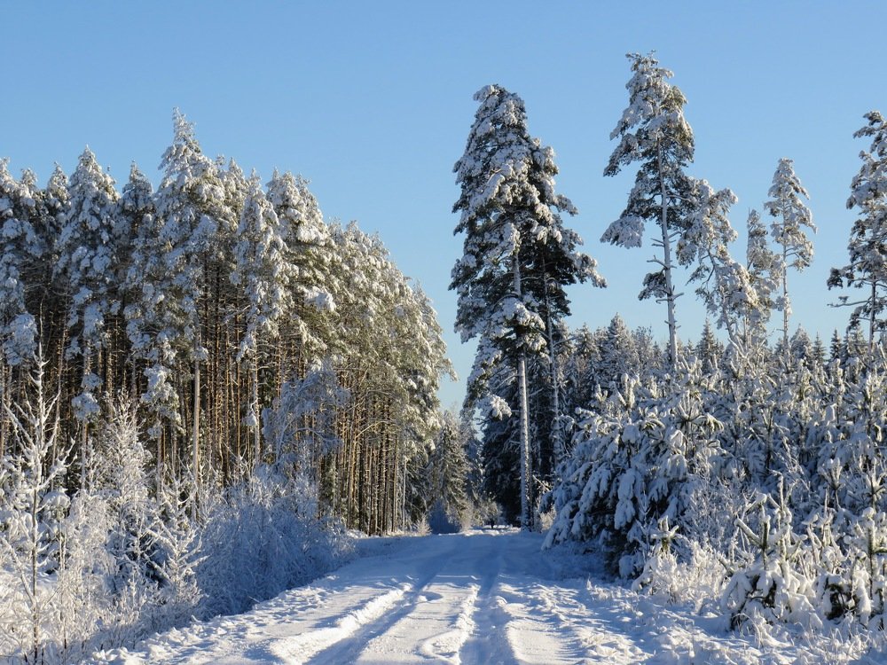 Photograph by ТАТЬЯНА КОНРАДИ