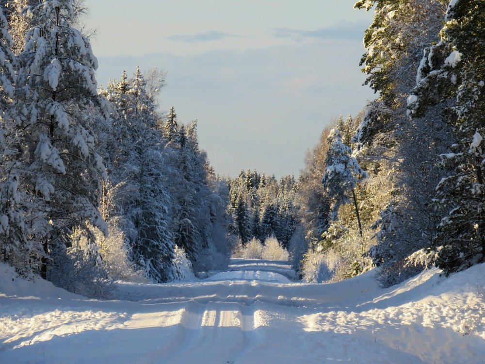 Photograph by ТАТЬЯНА КОНРАДИ