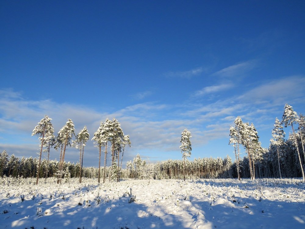 Photograph by ТАТЬЯНА КОНРАДИ
