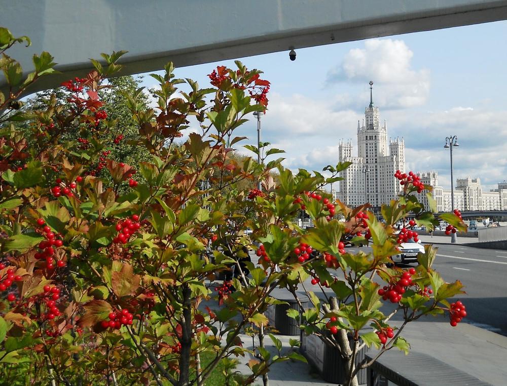 Высотка на Котельнической набережной.