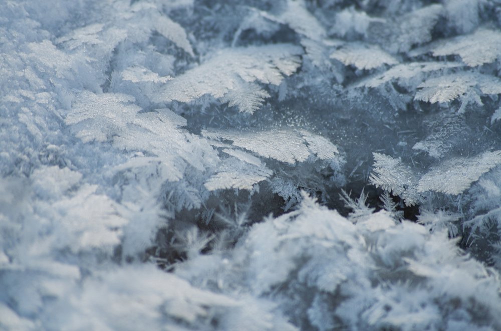 Photograph by Ольга Шибяева