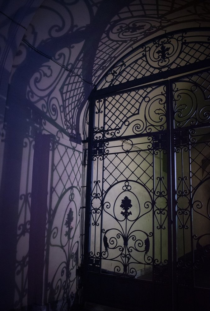 Photograph by Александра Мазур