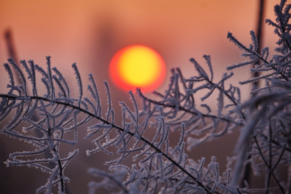 Photograph by Василий Арлашов