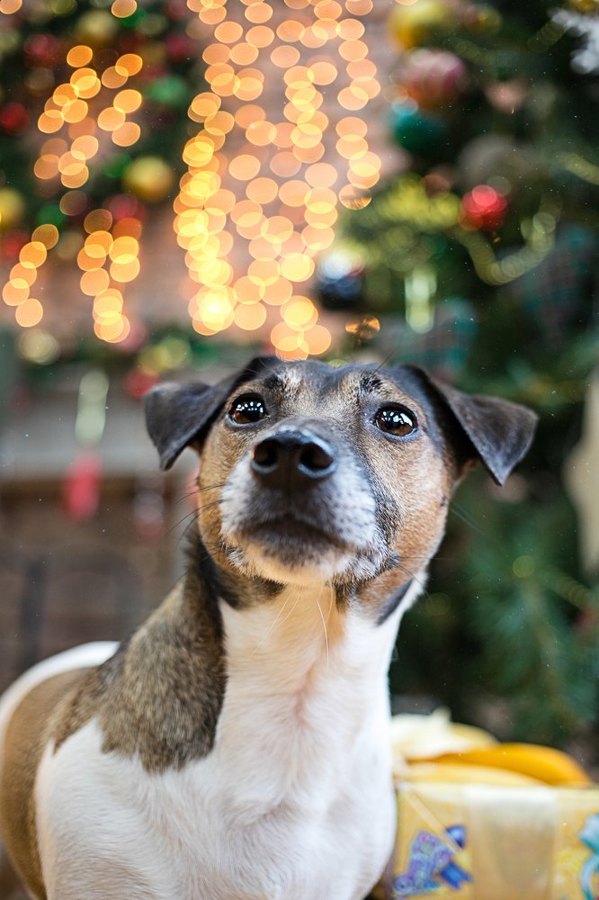 Photograph by Анна Григорьева