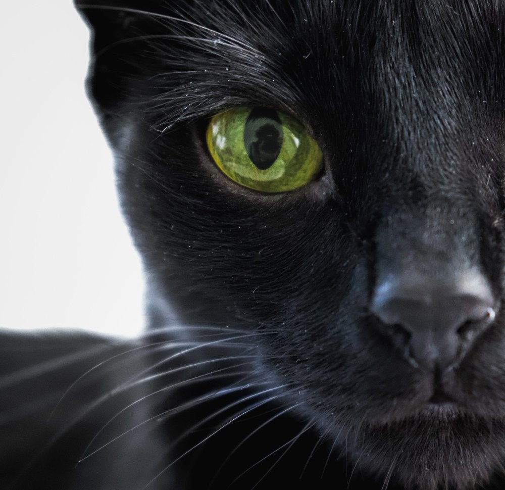 Photograph by Hasan Orhon