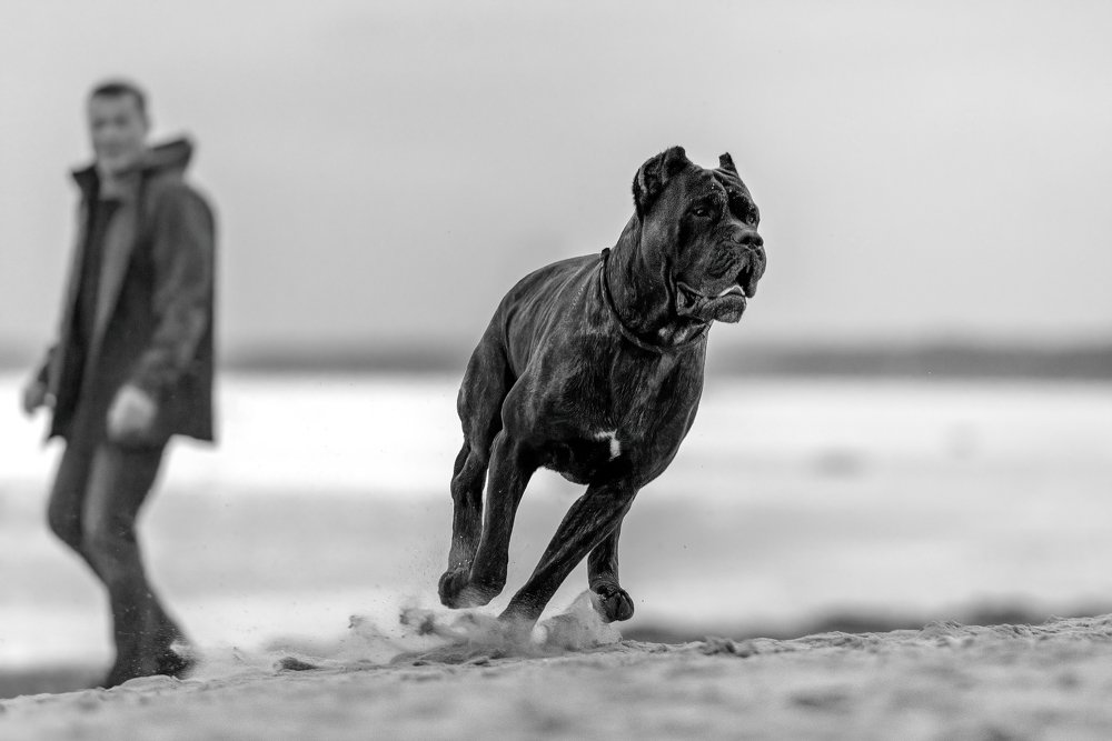 Photograph by Irina Kovaleva