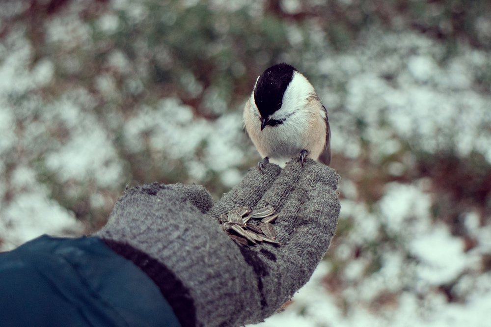 Photograph by Светлана Фокина