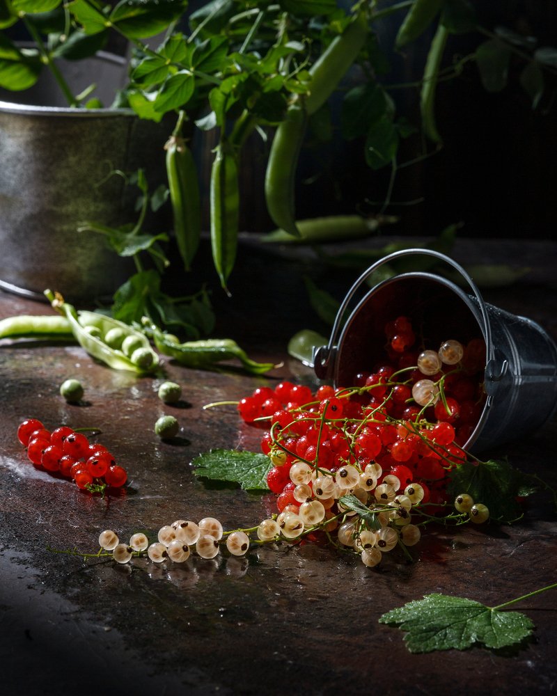 Photograph by Дмитрий Герц