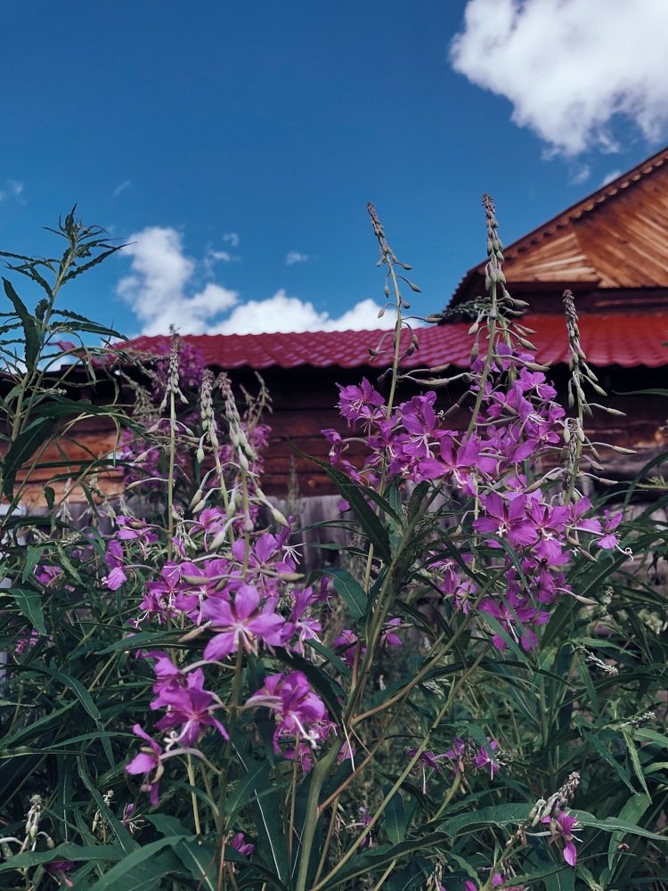 Photograph by Саргылаана Дмитриева