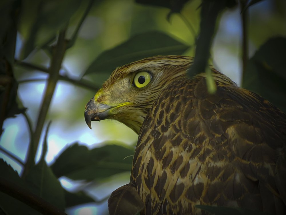 Photograph by Виталий Бокиев