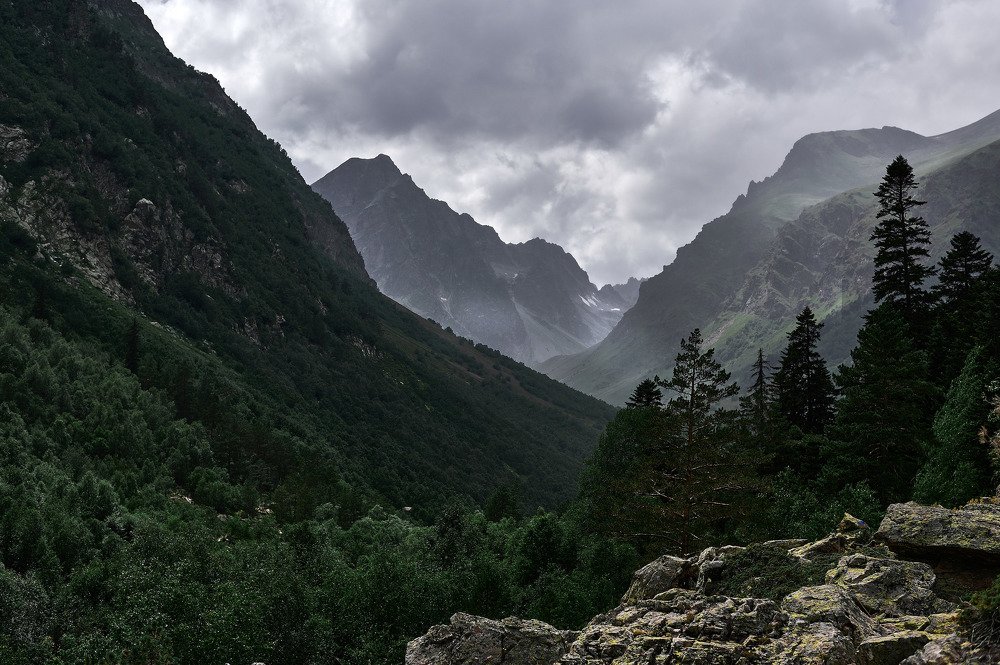 Photograph by DMITRIY MOISEEV