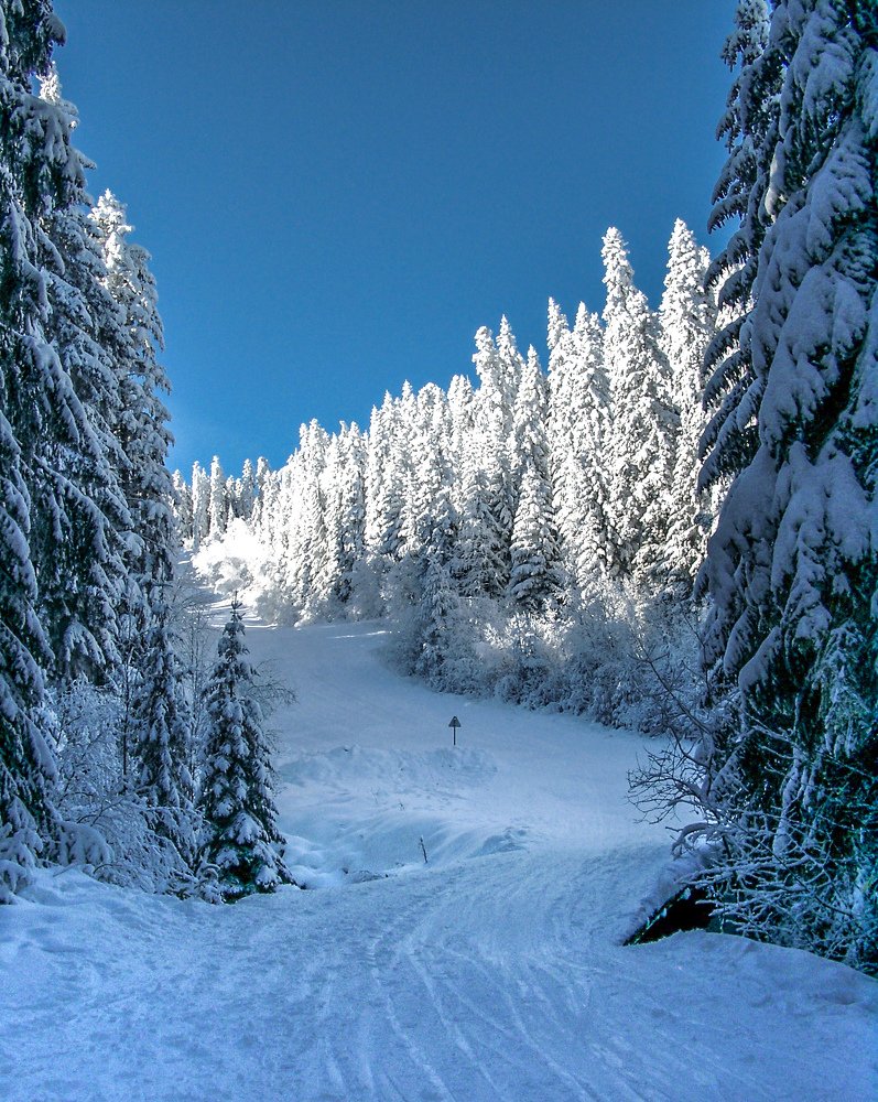 Фотография автора OLEG MOZHEVIN