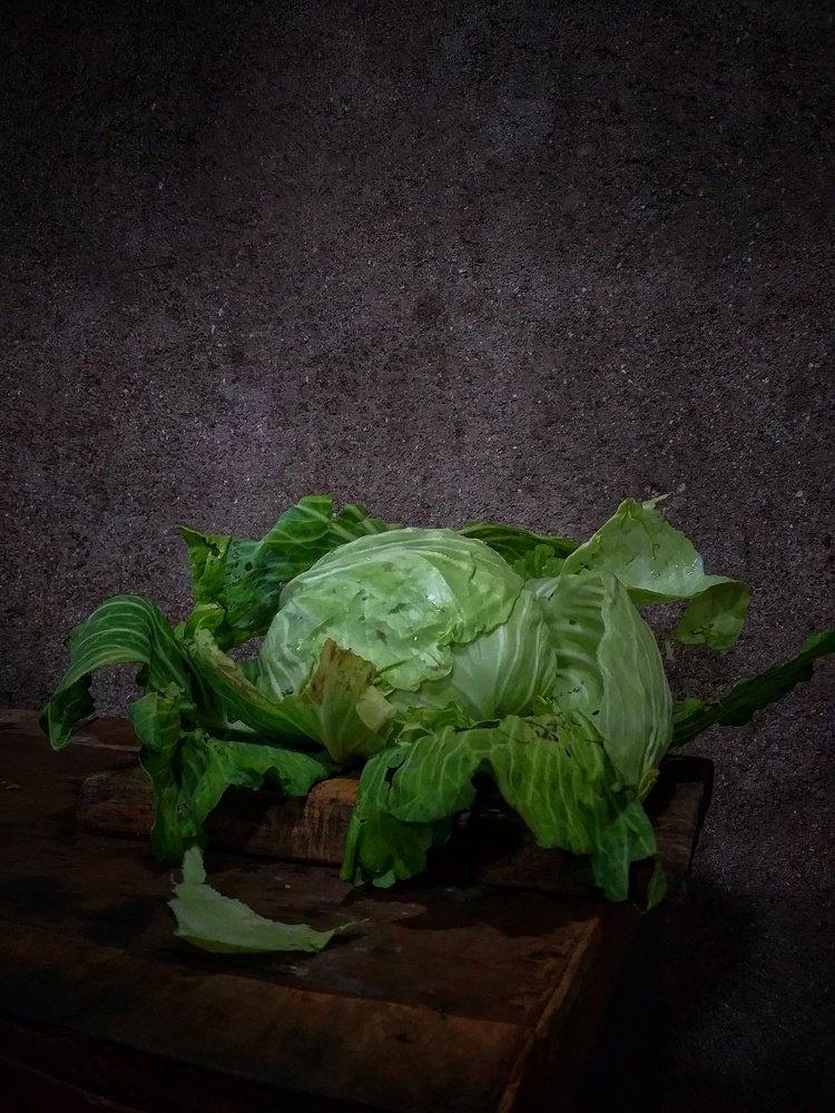 Cabbage