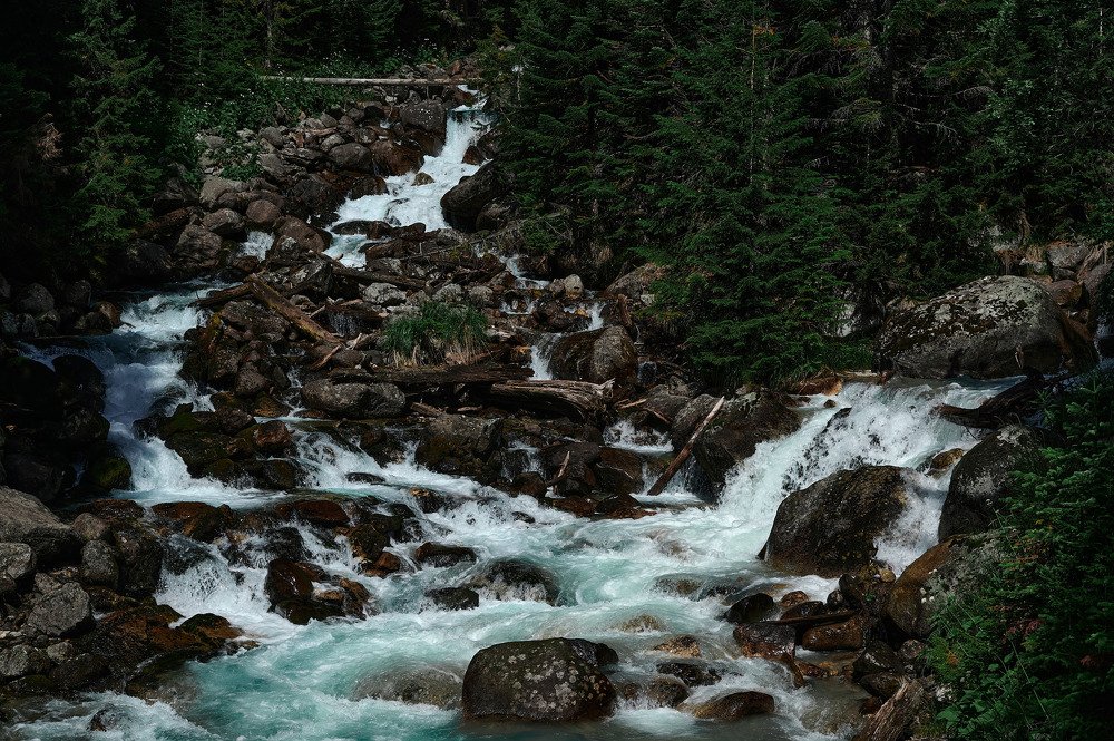 Photograph by DMITRIY MOISEEV