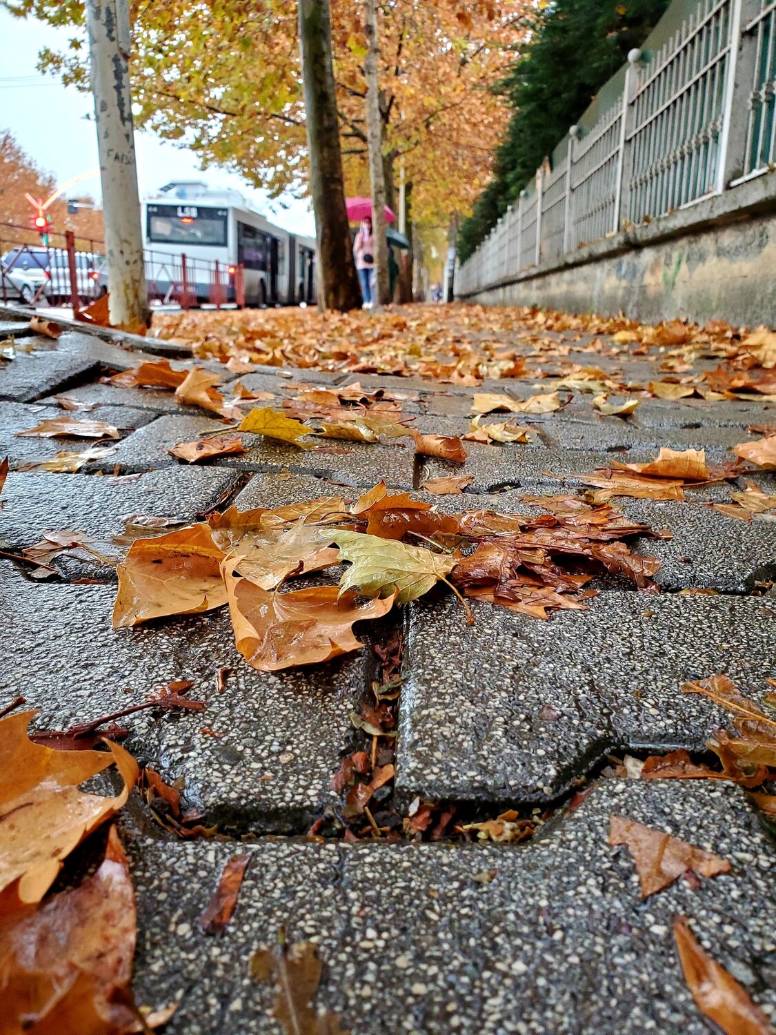 Photo #5505798