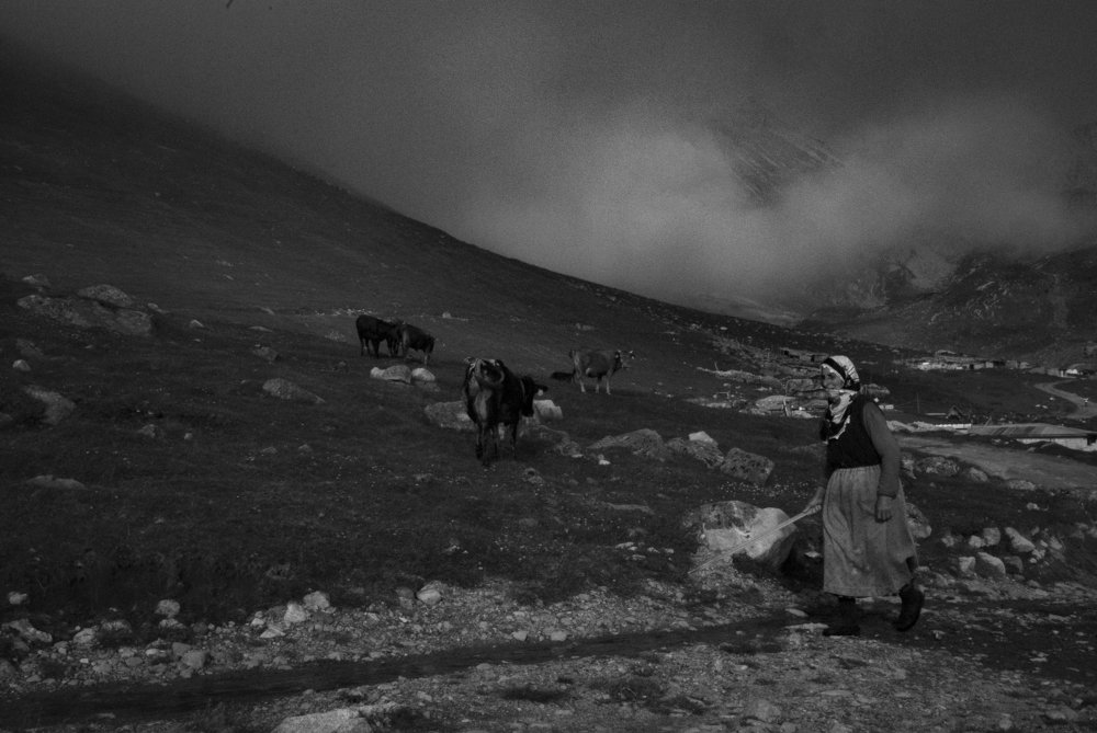 Photograph by SEZGIN DERELİ