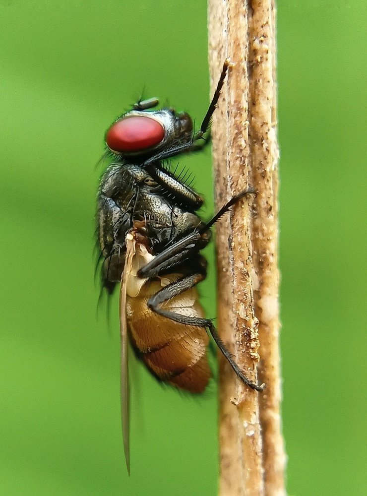 Photograph by Ashik R S Mohammed