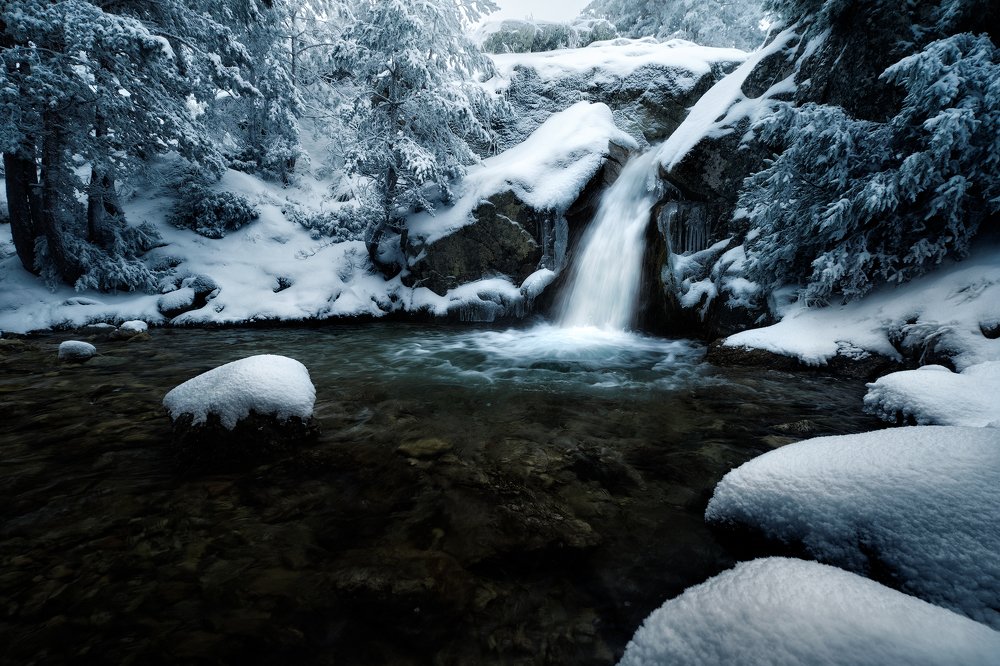 Photograph by Prince