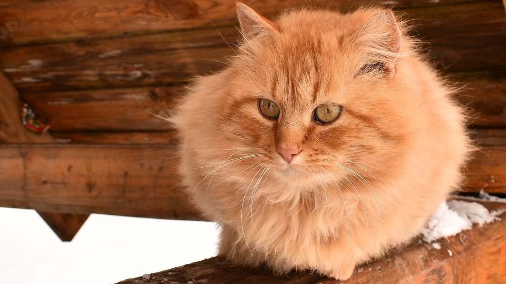 Photograph by Валерий Талейко