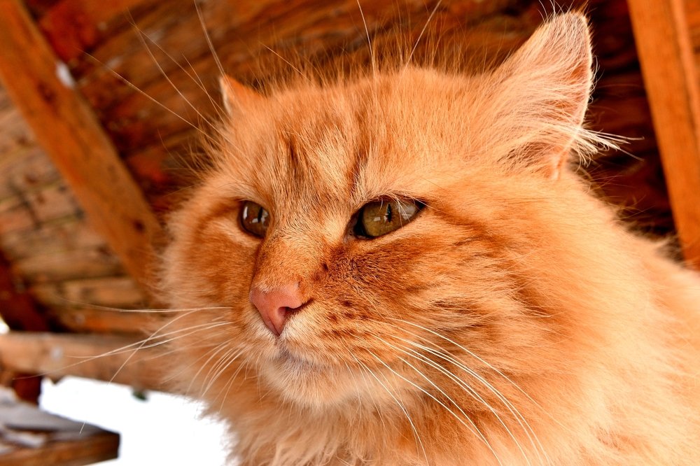 Photograph by Валерий Талейко