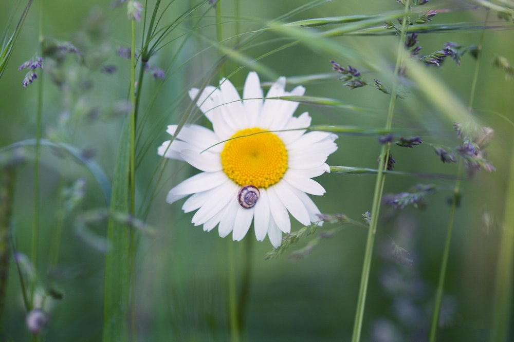 Photograph by Александр Замятин